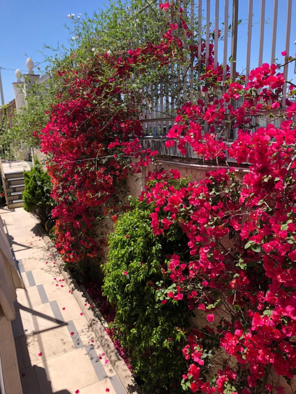 ארקולאנו Golden Mile B&B מראה חיצוני תמונה